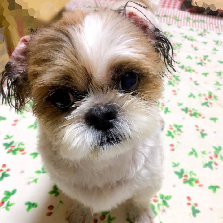 A20c3da3 5c3d 413f a28b 3ca4827898f1 1566637610989