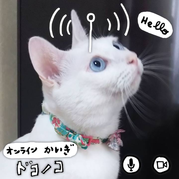 A20c47c8 f348 4d23 b784 6b6a6b04a163 1591249290760