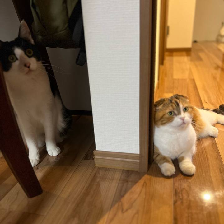 A20c8d19 6f30 41eb a8b9 c192f2796226 1723988094774