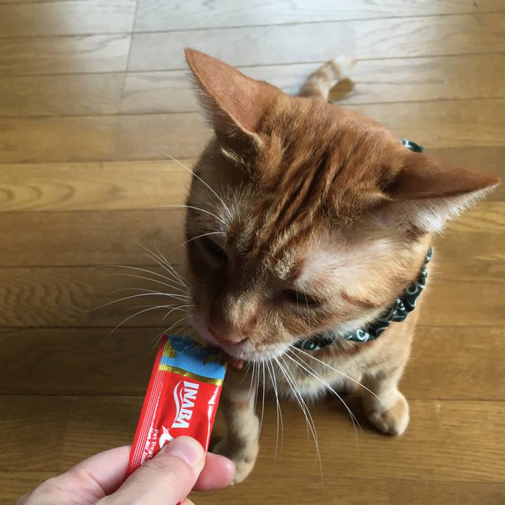 A20ca3bc 761b 4ada 89e9 9845def8e200 1537662418622