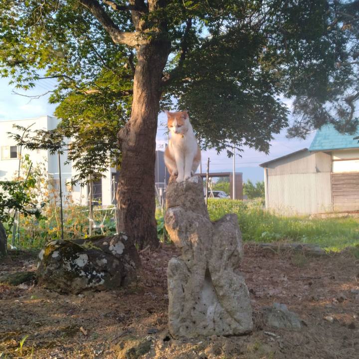 A20cb4de d45a 4d0e a009 cd53e19d7f06 1751409229374