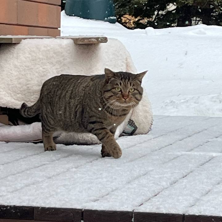 A20cf417 1716 4b60 ab0b e38ee99b5727 1736589916365