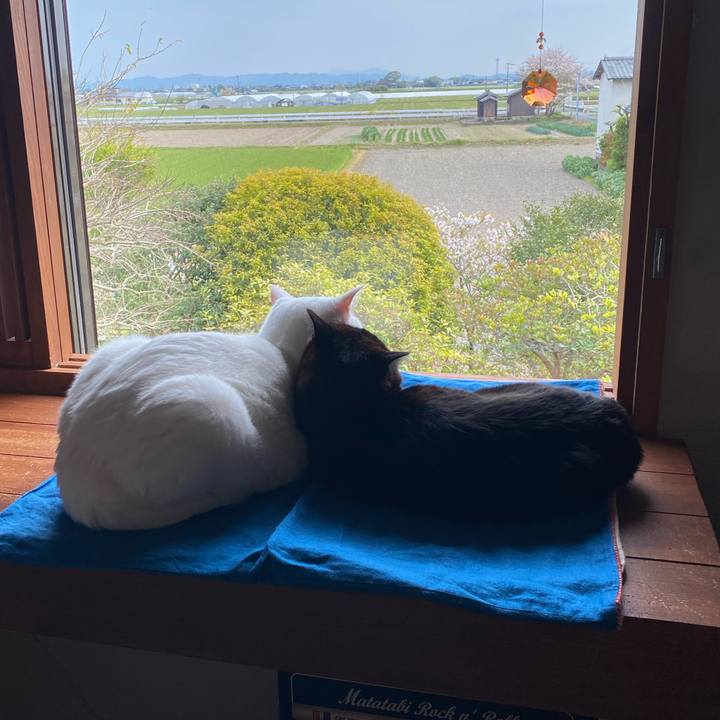 A20d4587 d7fa 416d ab36 704ca88a33c2 1586502172288