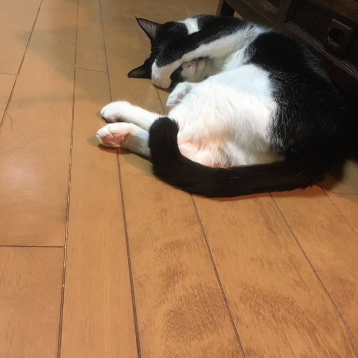 A20d536b 8053 4417 9c1f e693301fc8ed 1582442373992