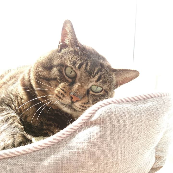 A20d77c4 70f2 4880 b9be 0006c7bd3a8f 1536368173411