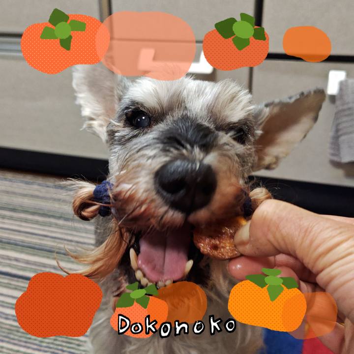 A20d8c7f a399 4c2a 9d3f 71971a9d7436 1763187187843