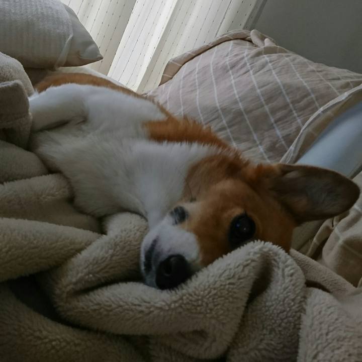 A20d8e7d 0bcb 4830 a796 760169de6c69 1540165083033