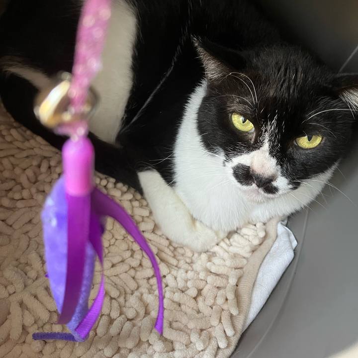 A20d9609 566d 4002 9dde 4b44bad50d07 1716022734391