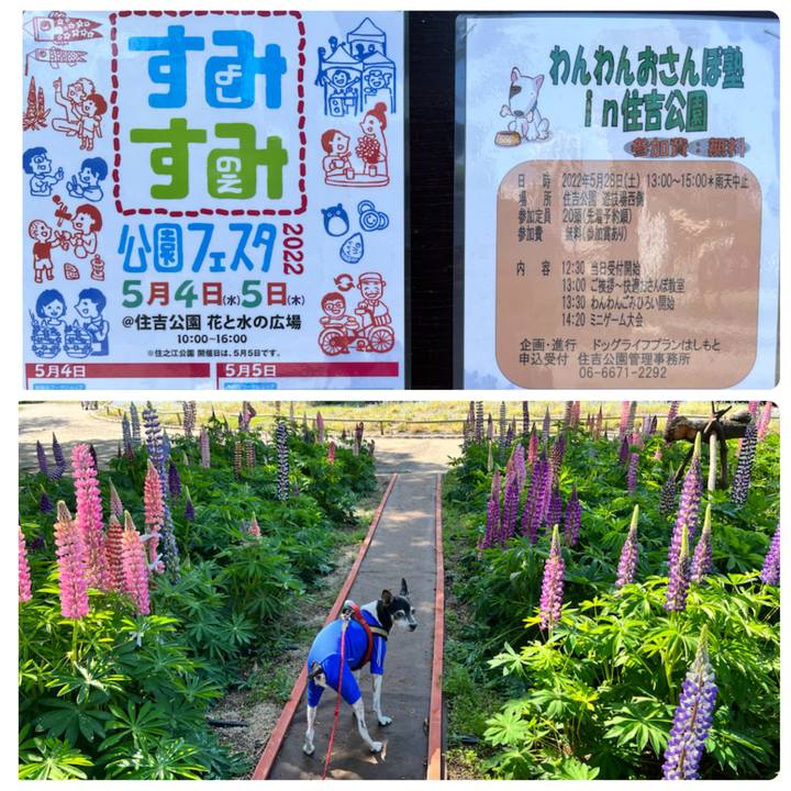 A20da151 2a1c 42c8 8be9 3747fef0cb06 1651545459052