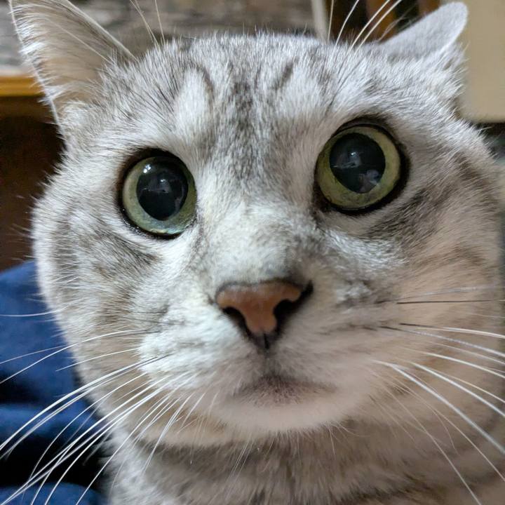 A20da186 ffd3 4b40 a40b 5a624d69f45f 1763817035423