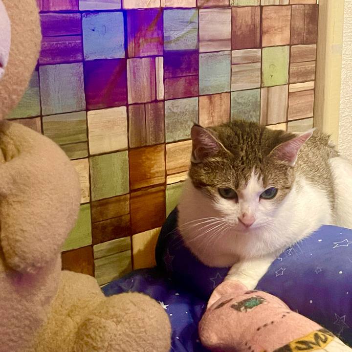 A20da8e2 9623 405c b188 0e06a0080265 1629453258875