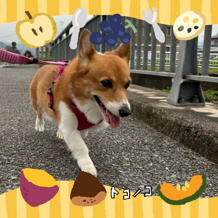 A20dc0a5 8456 4659 a080 44c3b8098642 1726873605138