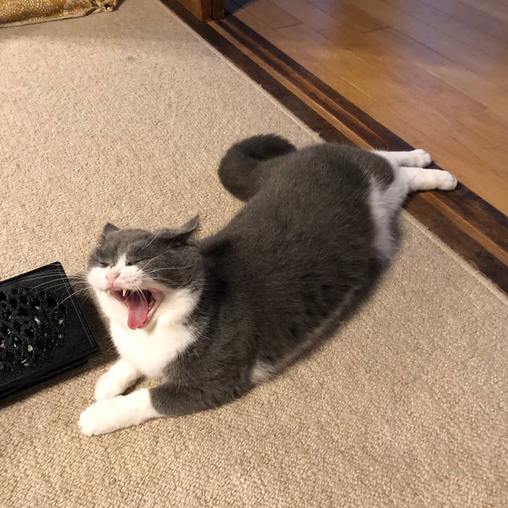 A20dc72b 0c18 4778 aee6 206417e3549a 1571114767080