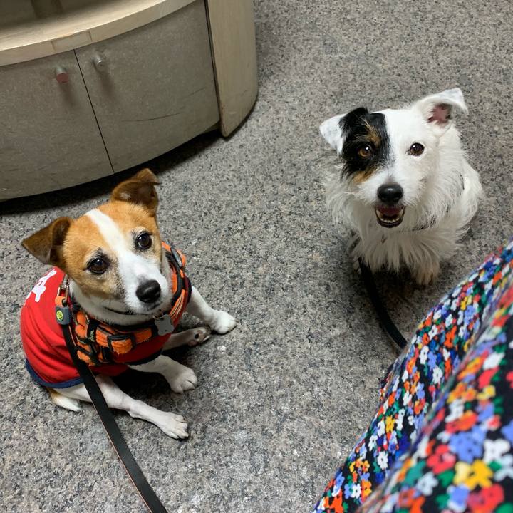 A20df9a7 2c22 4788 a81f accda4e31155 1596191360469