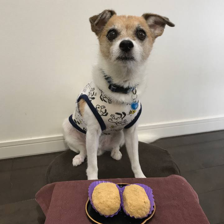 A20e0fd3 1921 41a2 a2e6 fc015a84f08f 1600756212077