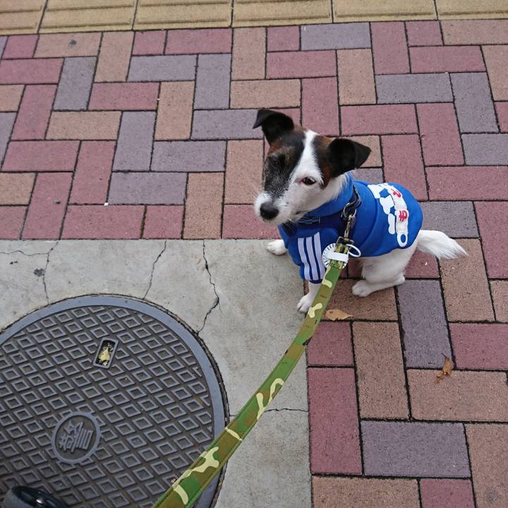 A20e2fb7 e702 4155 9ecd 7efd38892683 1509748532787