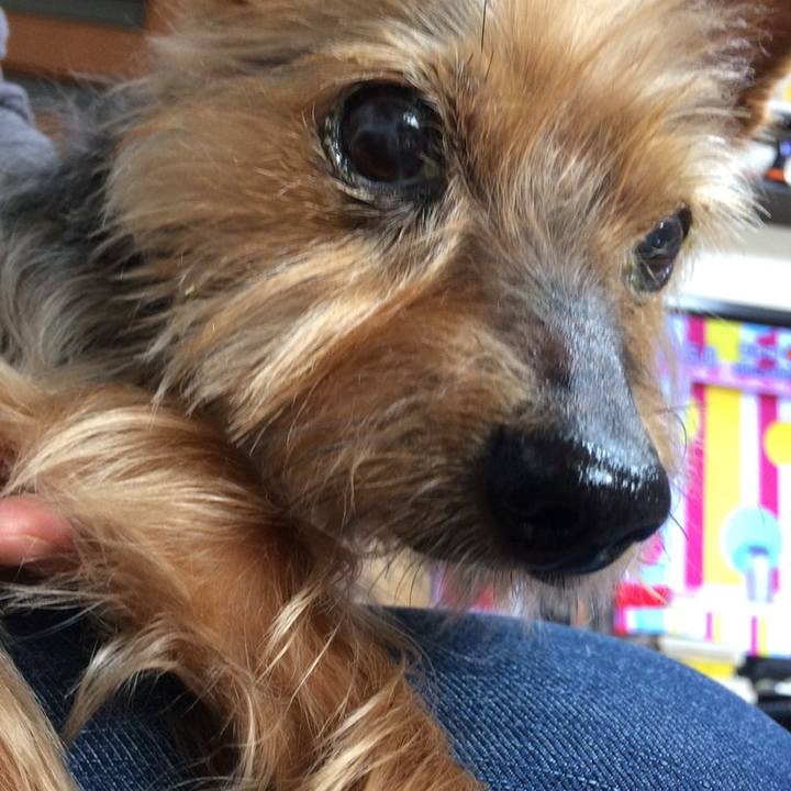 A20e5d35 b0a0 4971 ba78 b363277c1230 1597396809885