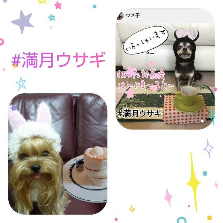 A20e9671 3deb 4d92 8b30 4f16cc7c5c8e 1583773851053