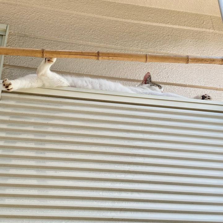 A20e99f8 1d51 4f22 b1fe 6f127f9472f4 1627696782689