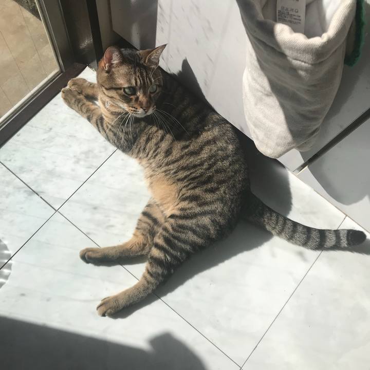 A20ec6ea 96c0 4494 aa58 0721589572e6 1510555510754