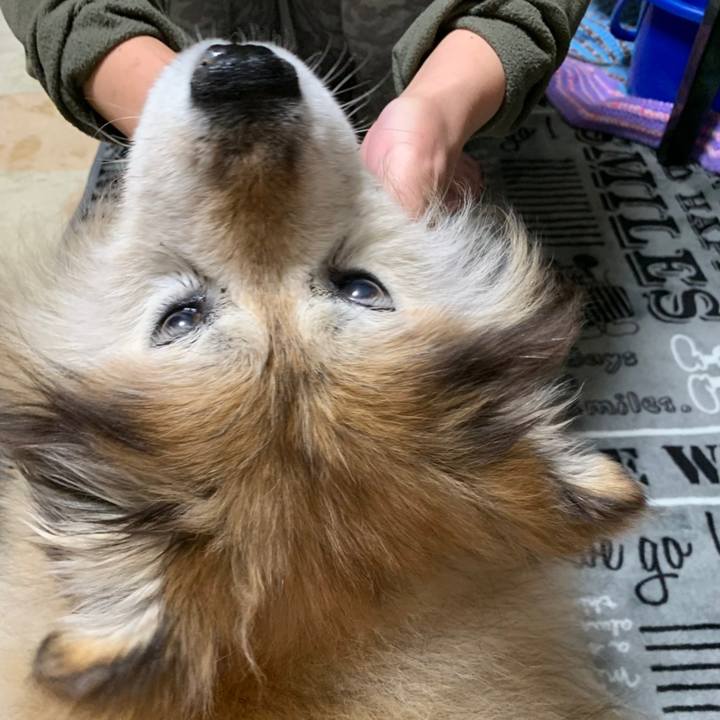 A20ee9dd 5524 41f3 ba0a a7b98cd000c6 1561697707856