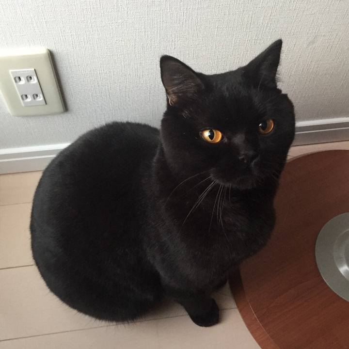 A20eeb58 1608 4ce3 a97b fb7621111d69 1512080185572