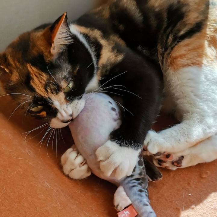 A20f0e54 998c 4f49 9314 39b0ef2c772c 1647663905844