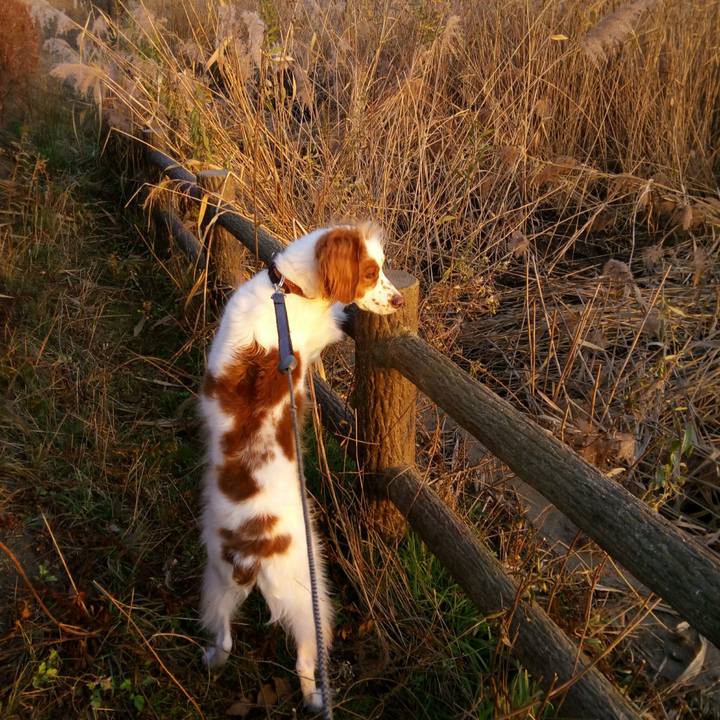 A20f0ffa 3f38 4b09 859b ed09f86672c9 1513327259808