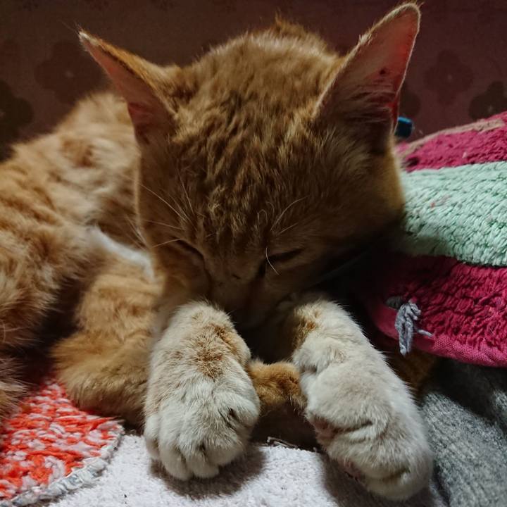 A20f1ea9 e88c 40ff 8209 aa7cd0957b2a 1555589229432