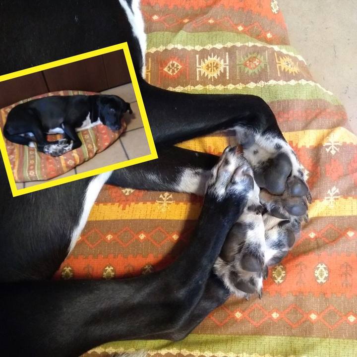 A20f364d fcbe 4bdb 842e 5bfd04e6917e 1629506945681