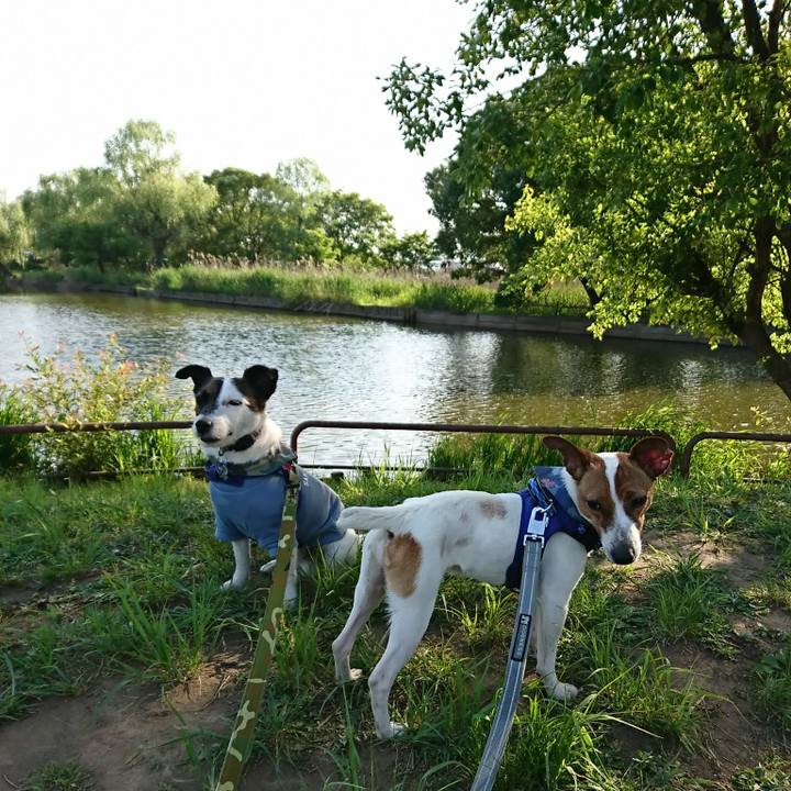 A20f42c3 c547 4688 9a59 5163033b2ab3 1525513743015