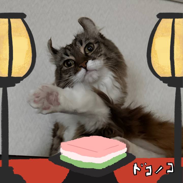 A20f6b7b ea42 441b 8a23 476790c91604 1741104592410