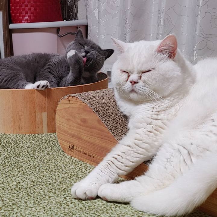 A20f71b5 6541 40d7 b5ab f388e99d42c4 1654252090745