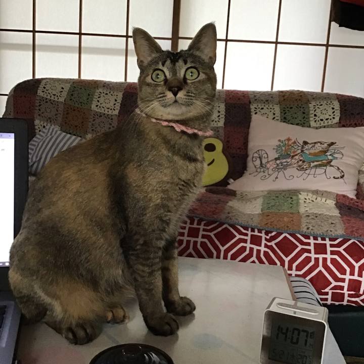 A20f80dc 8830 435d a505 e14bba964560 1590039768819