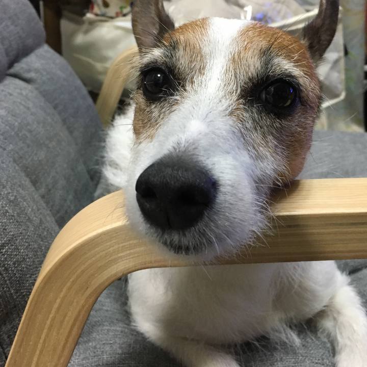 A20f8445 657b 4176 951b 9090d14fe66b 1561678164652