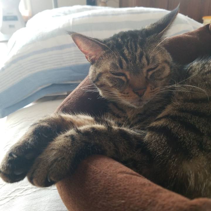 A20fa706 3146 4cc7 b969 81b8db713598 1572145706685