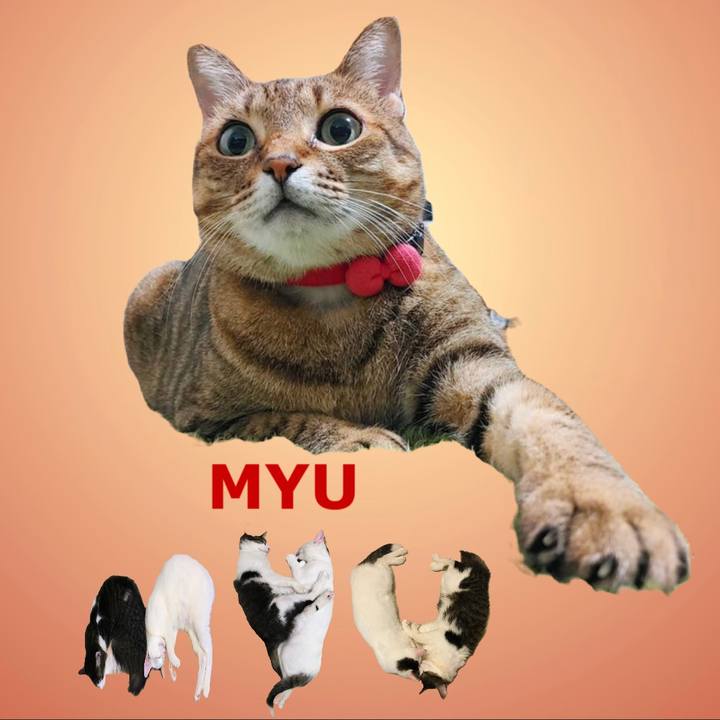 A20faf94 0be6 4972 807c 37161c5f0785 1669763850180