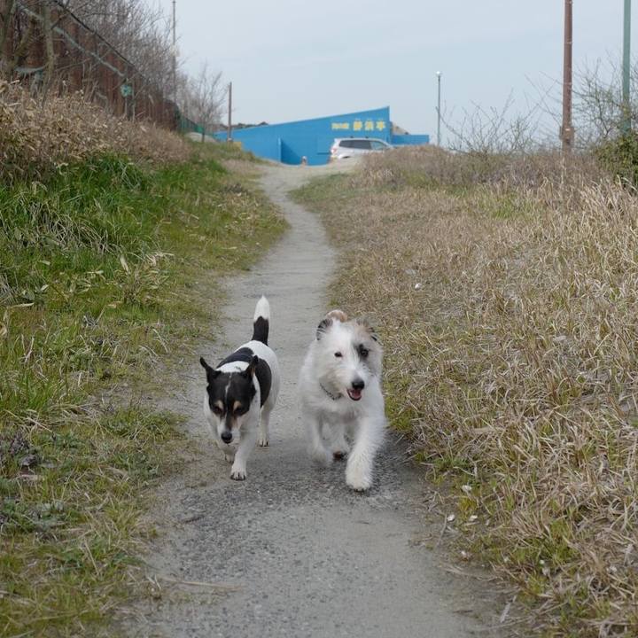 A20fc58b e48b 4f0b a9dd 742168d2e82d 1554697051943