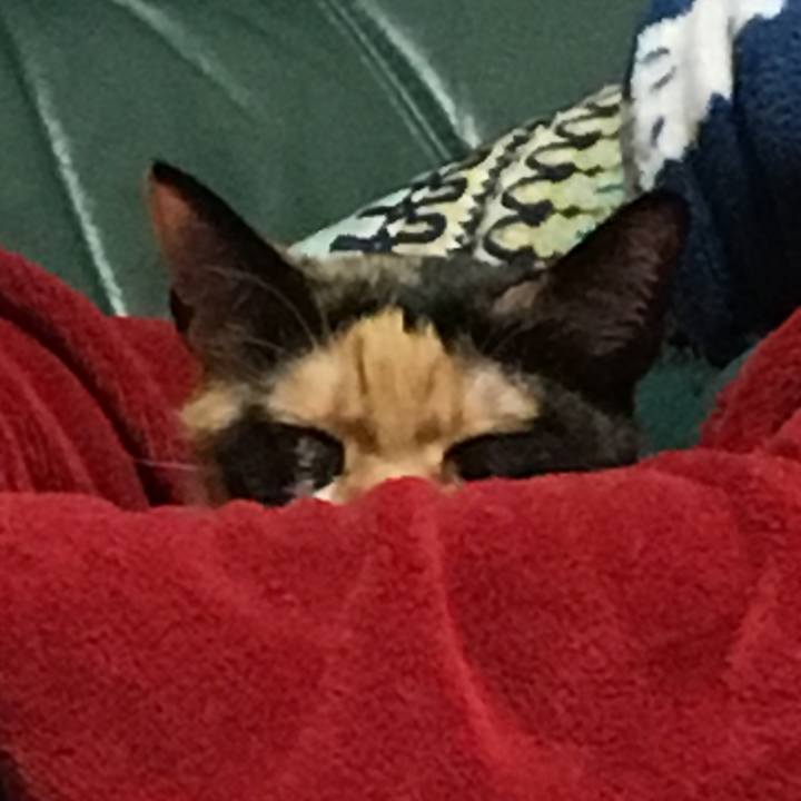 A20ff763 f63c 42b3 a683 7aae0ea03082 1513435231648