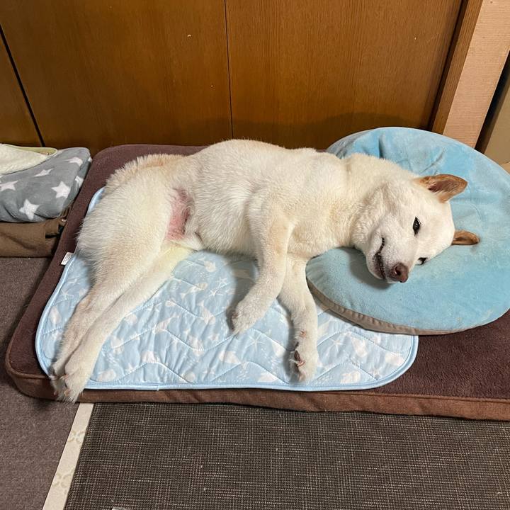 A2102076 06ec 4ba6 aa70 2238e38e087c 1653664666293