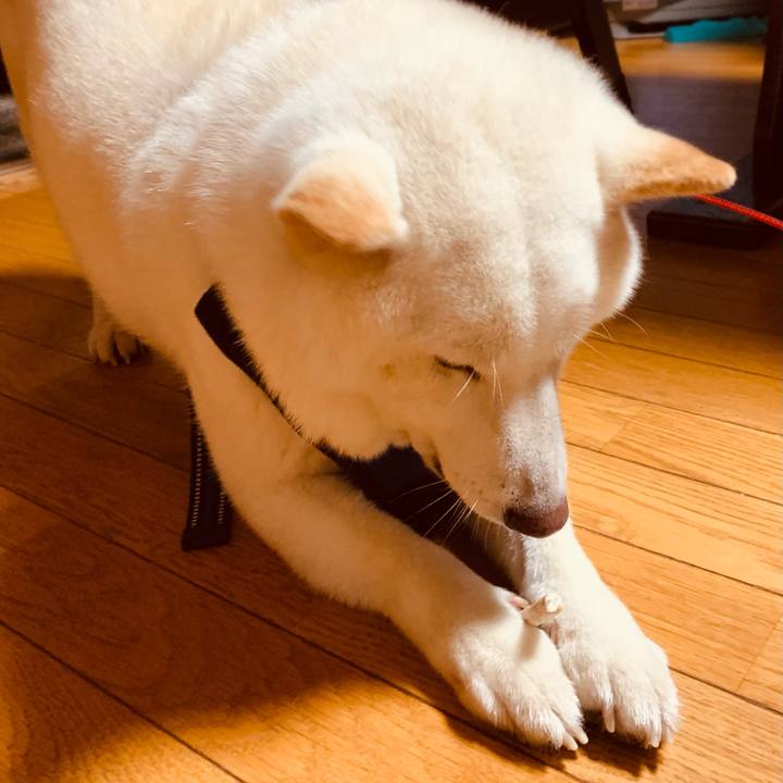 A21034cf dd30 45a2 a3ec e3ef3bd12bf1 1628417698951