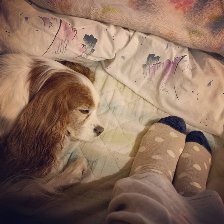 A2105479 5cbd 4155 a1a6 82d4d4c1301c 1607345834106