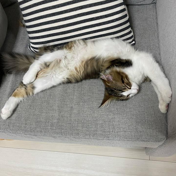 A2107413 8dfd 431f a5f6 79a2b91b2970 1635079838542