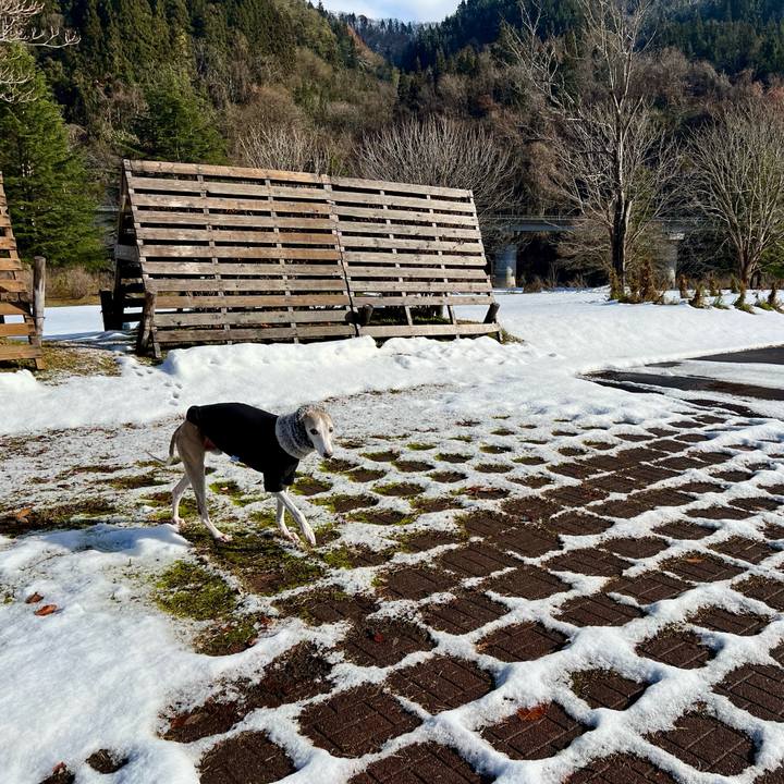 A2108035 7393 45bf 93f2 776045184d6b 1763972020791