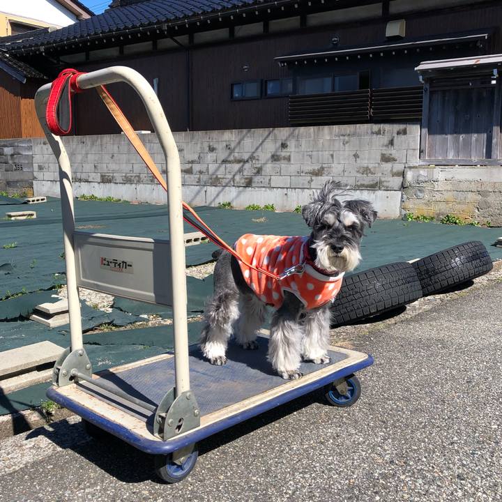 A210a75e e4fa 480e bba2 a1a4f33de44b 1679291234860