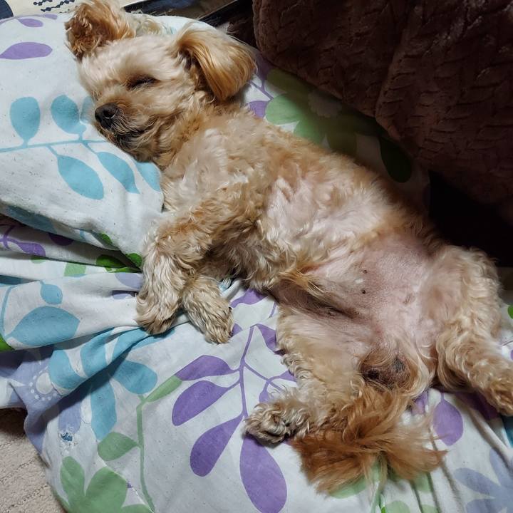 A210b18c d4ef 4ac4 904f 99a4f82adbea 1668945384278