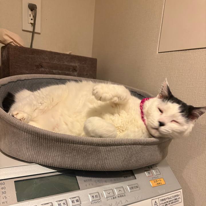 A210c279 db4c 447c 8a11 14eff1b50f5c 1772062397532