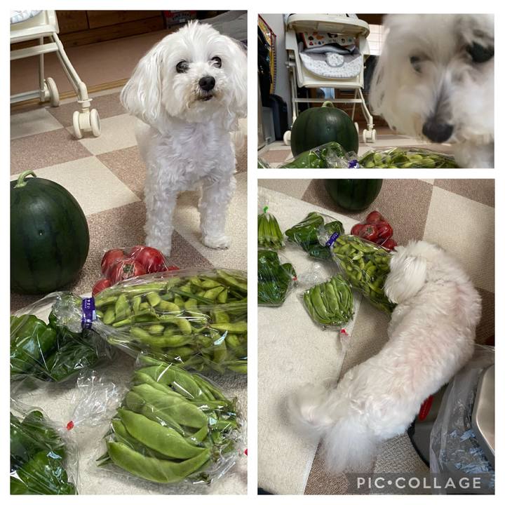 A210e3e4 b48f 47b9 a66c 345b0ee85b53 1626781575332