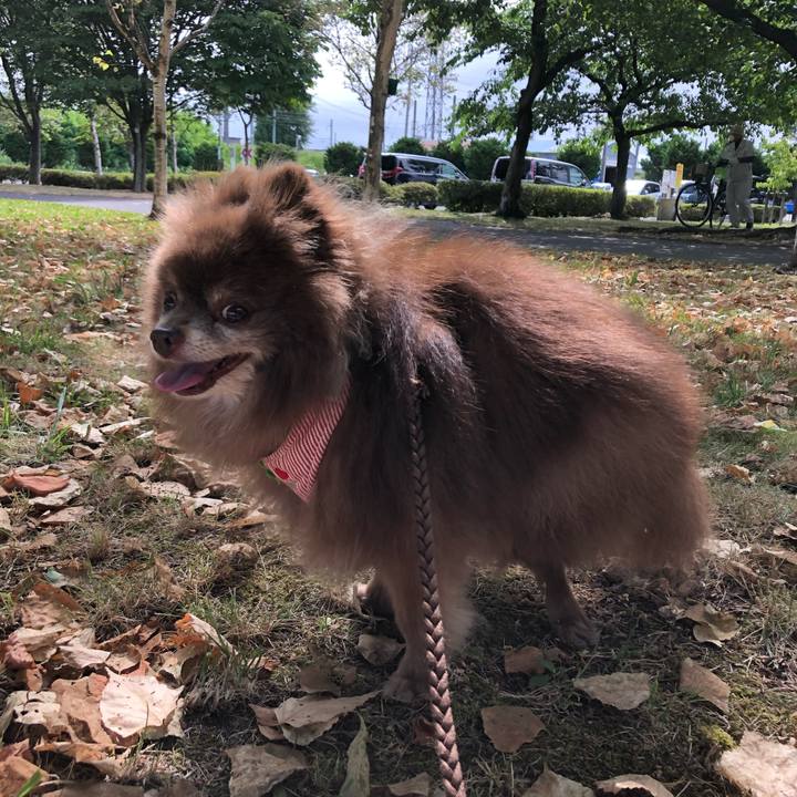 A210e6e7 f285 4191 96b2 9f744797fa21 1627449331285