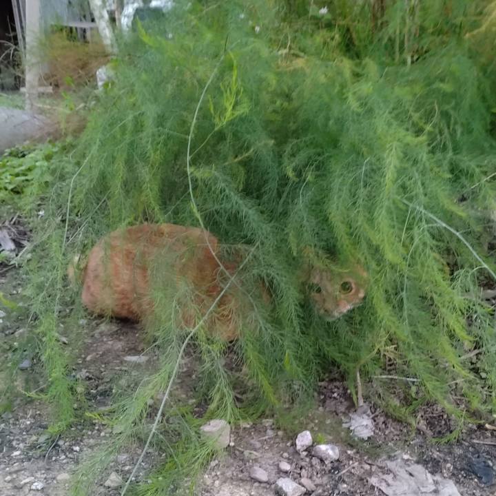 A210ffcd 5b1e 4c55 80fd 51015f34e009 1664527497047